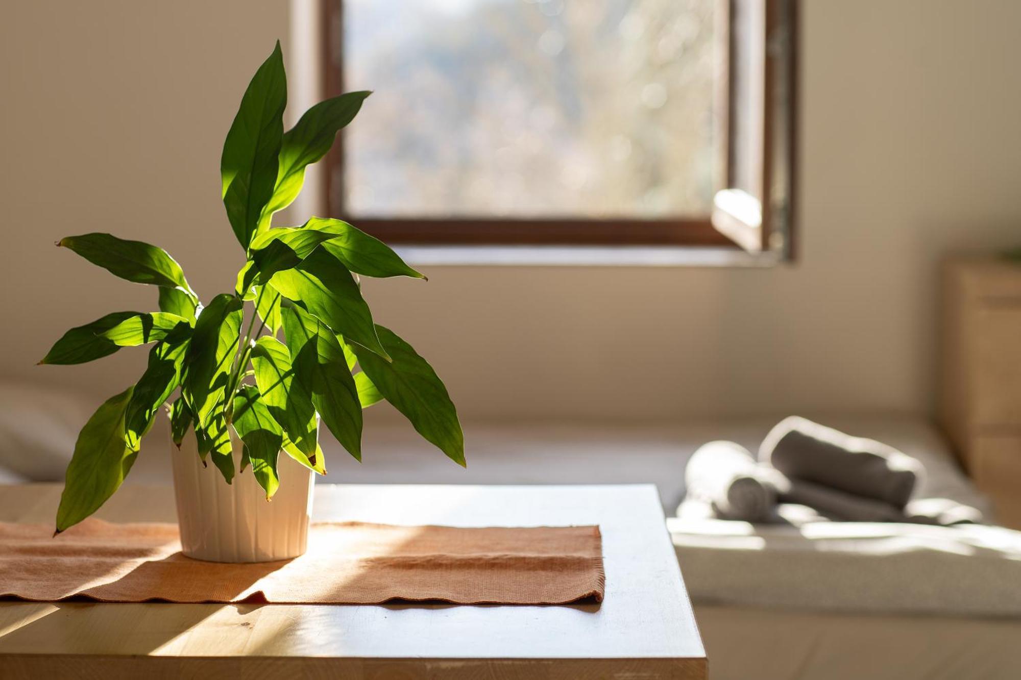 Apartmany Pro Rodiny S Detmi - Permonik Dolní Malá Úpa エクステリア 写真